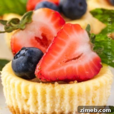 cheesecake with berries