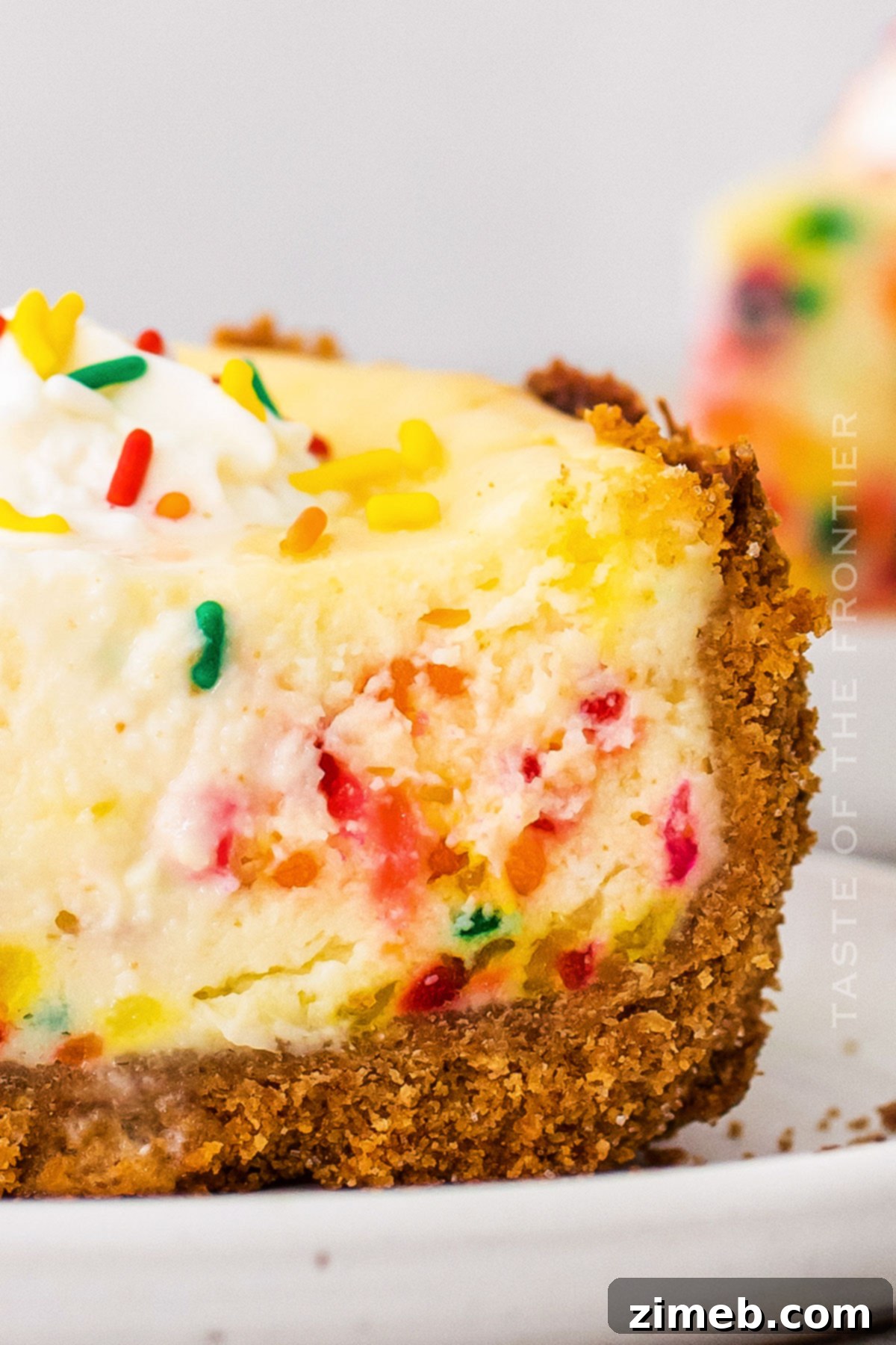 best cracker crust for cheesecake