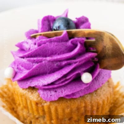 Blueberry Cupcakes with Blueberry Frosting