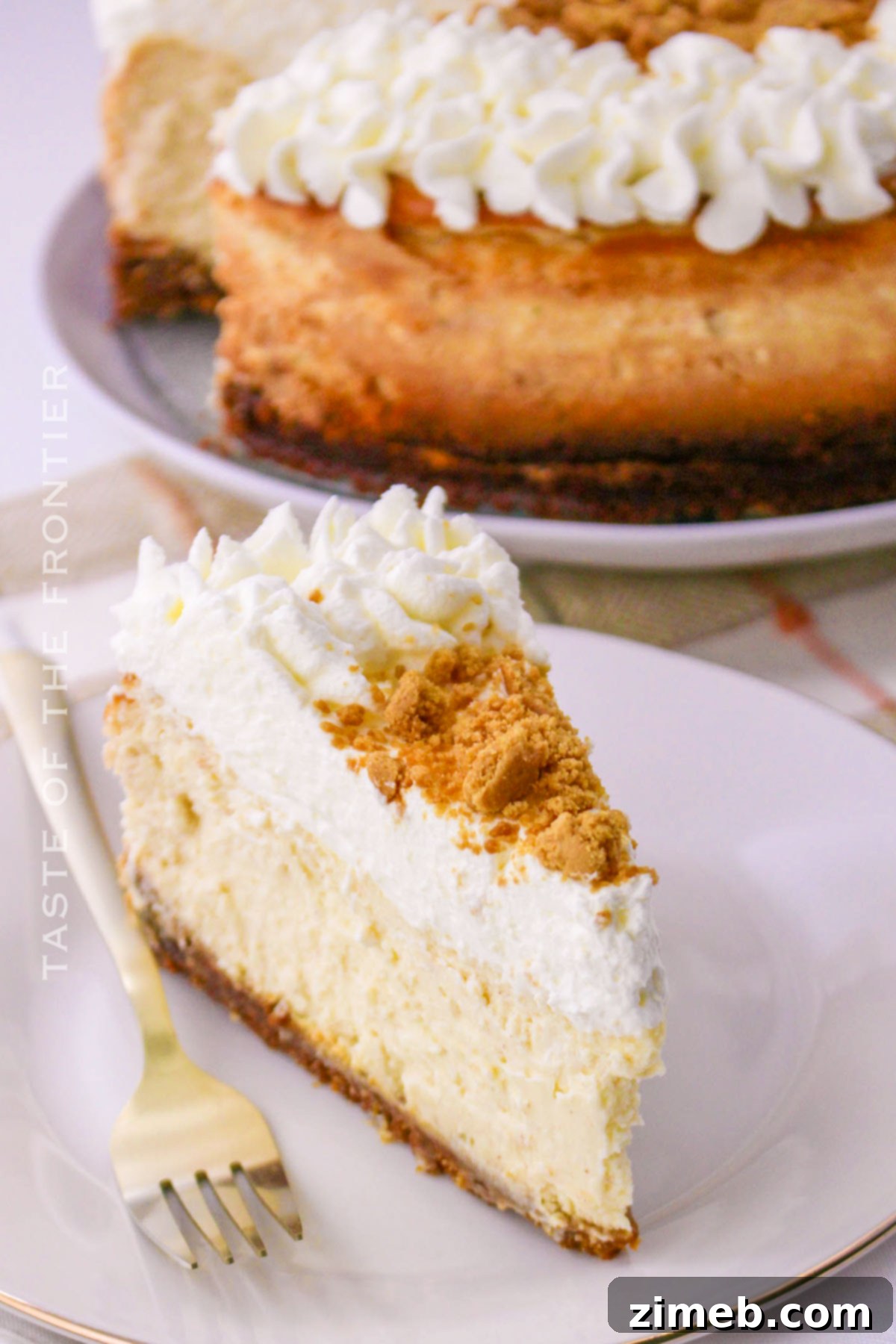 A delectable slice of Gingerbread Cheesecake with a rich gingersnap crust and whipped cream topping