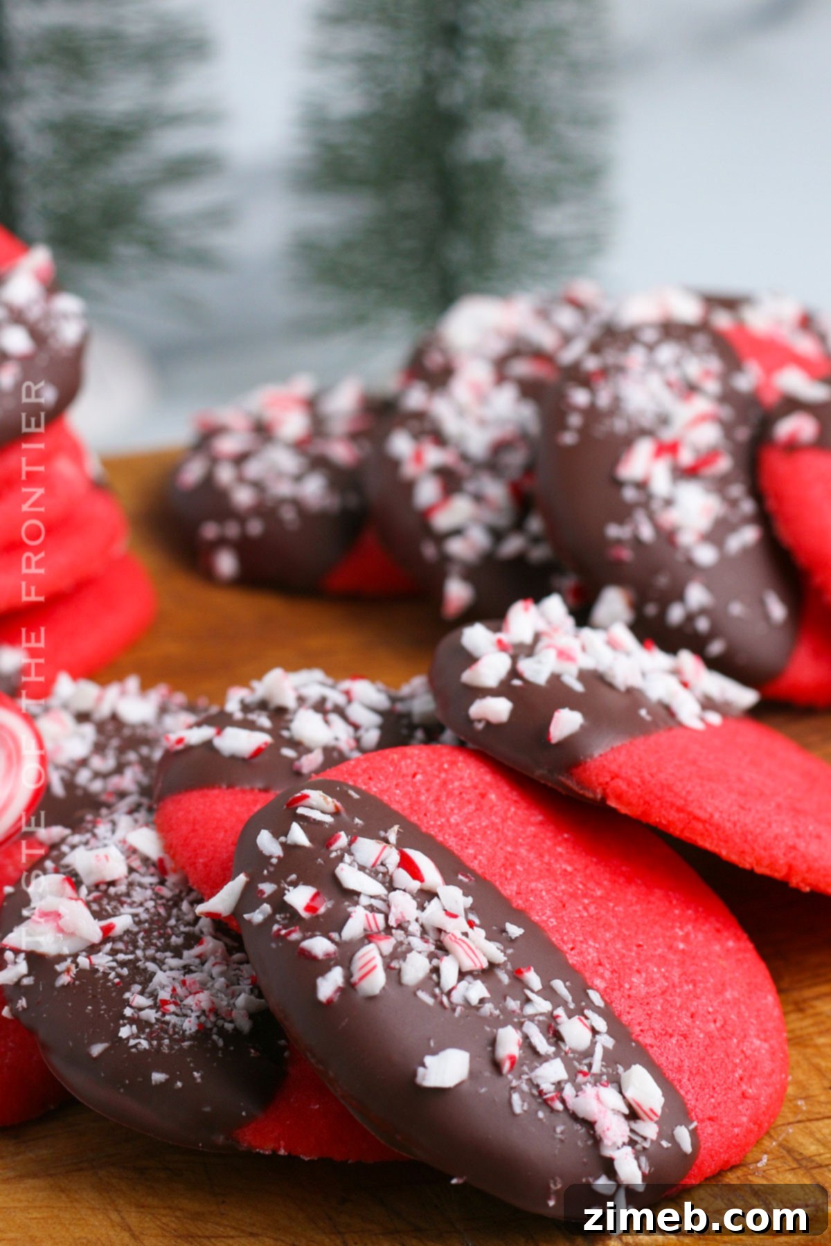 Peppermint Kissed Chocolate Treats 16 Chocolate Peppermint Cookie recipe