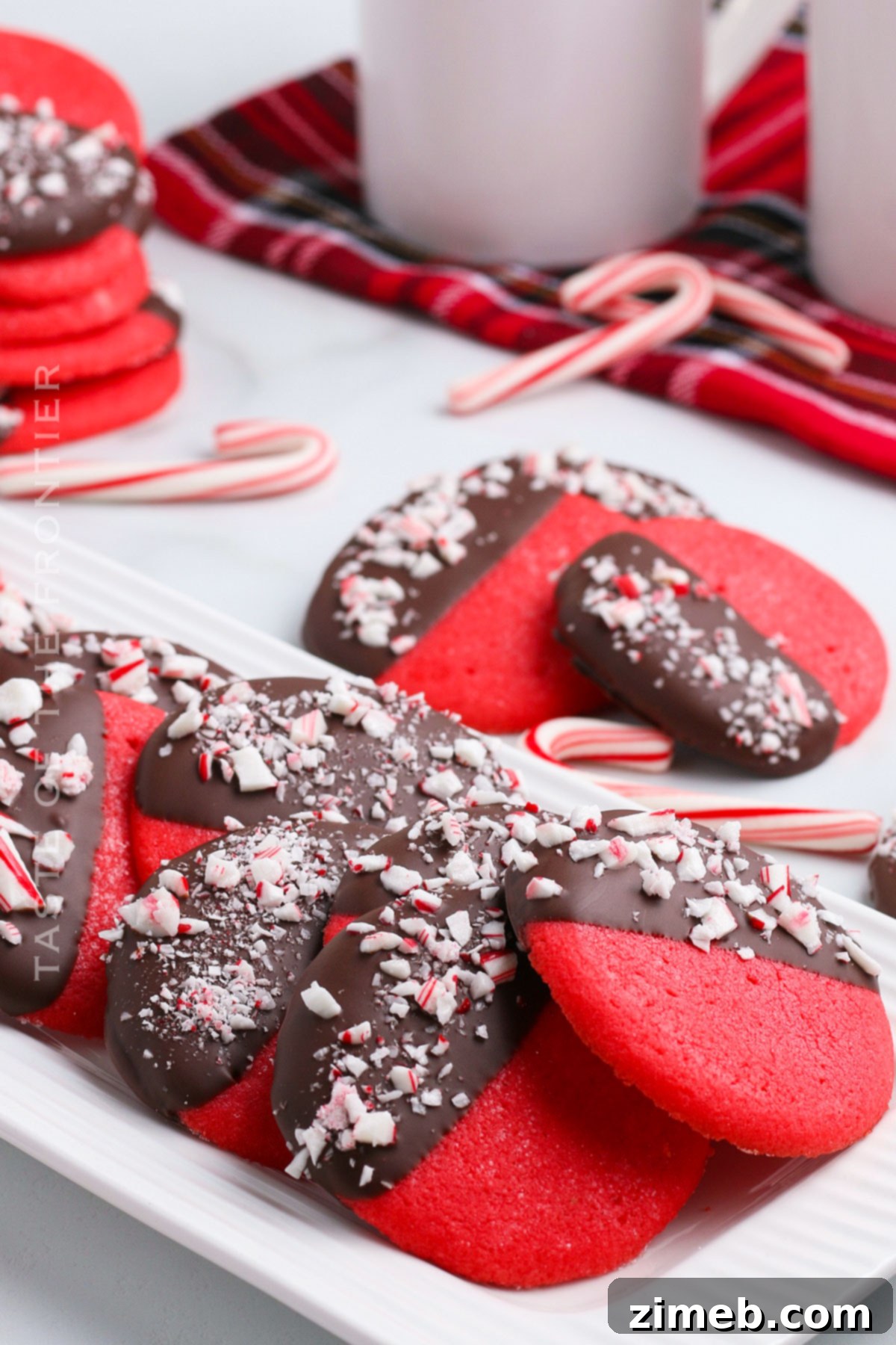 Peppermint Kissed Chocolate Treats 3 hot cocoa and cookies