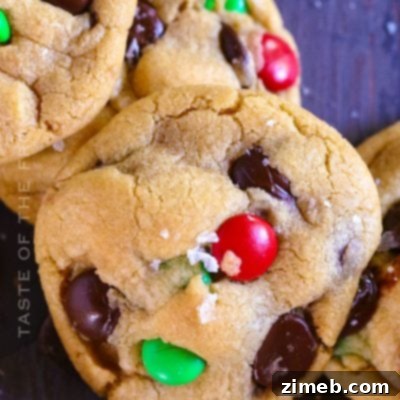 Breton Shortbread 10 Christmas Chocolate Chip Cookies