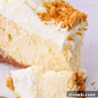 Gingerbread Cheesecake