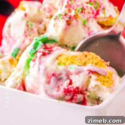 Christmas Cookie Ice Cream