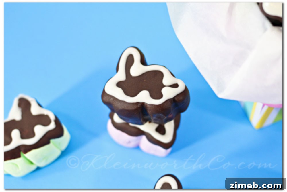 Chocolate Covered Bunny Marshmallows