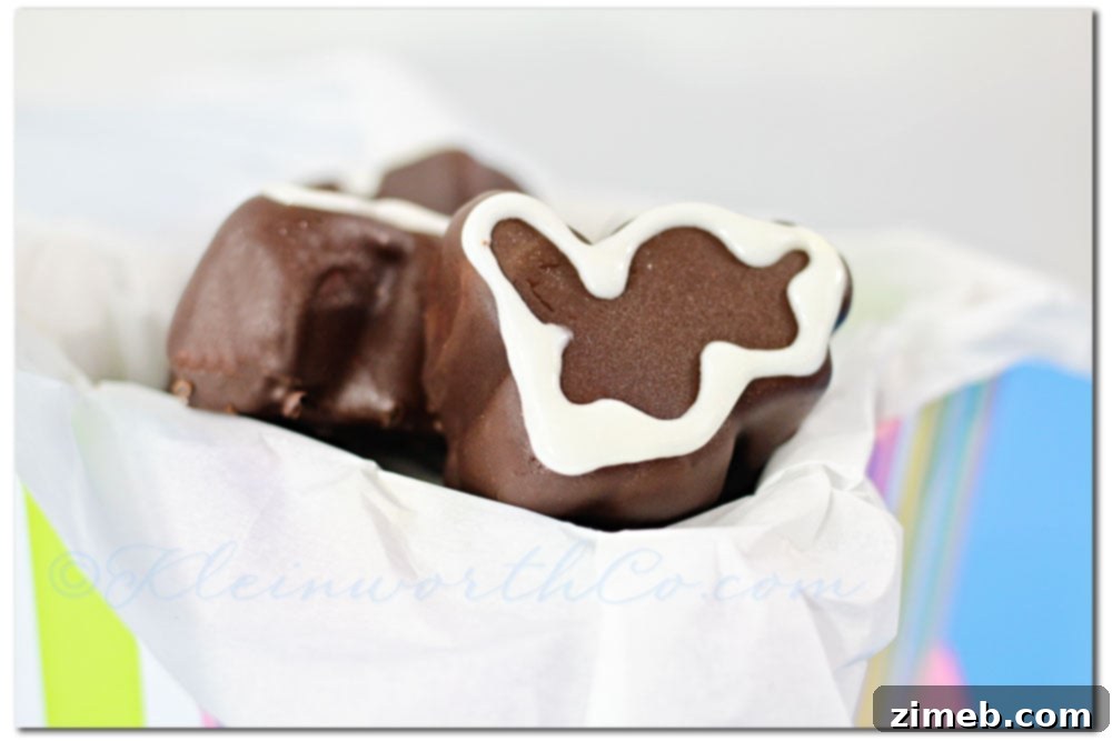 Chocolate Covered Bunny Marshmallows