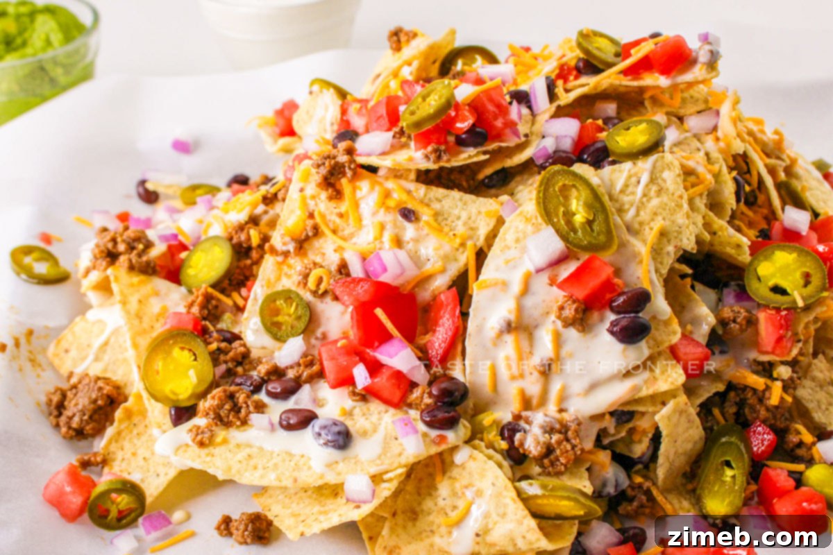 Party Pit Nachos 8 nacho appetizer