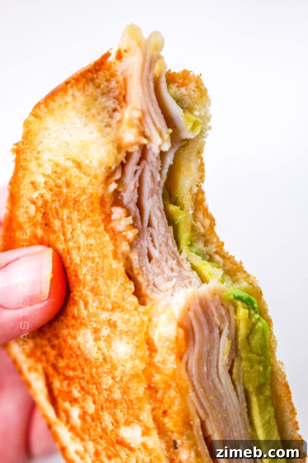 Smoky Chipotle Chicken Avocado Melt 15 Chipotle Chicken Avocado Melt recipe