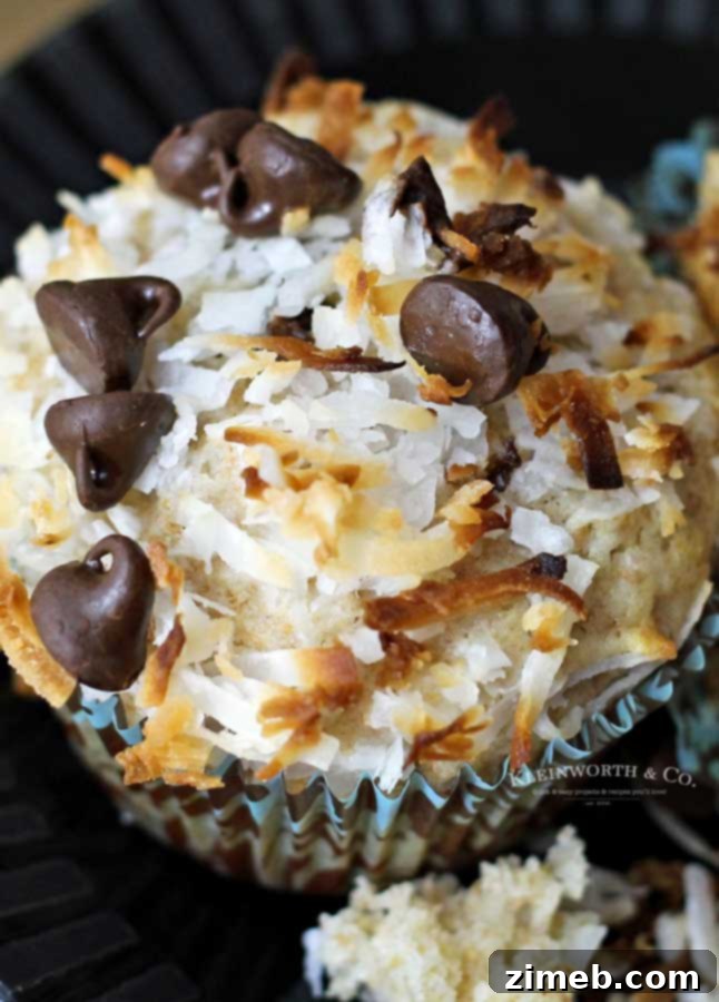 Go Bananas Muffins 10 best banana muffin recipe - monkey muffins