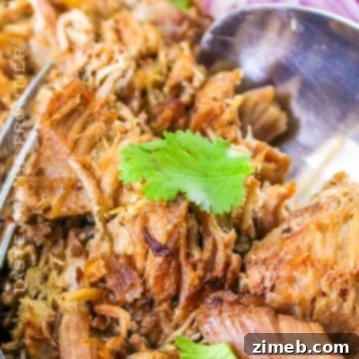 Flavorful Taco Filling 13 Instant Pot Pork Carnitas