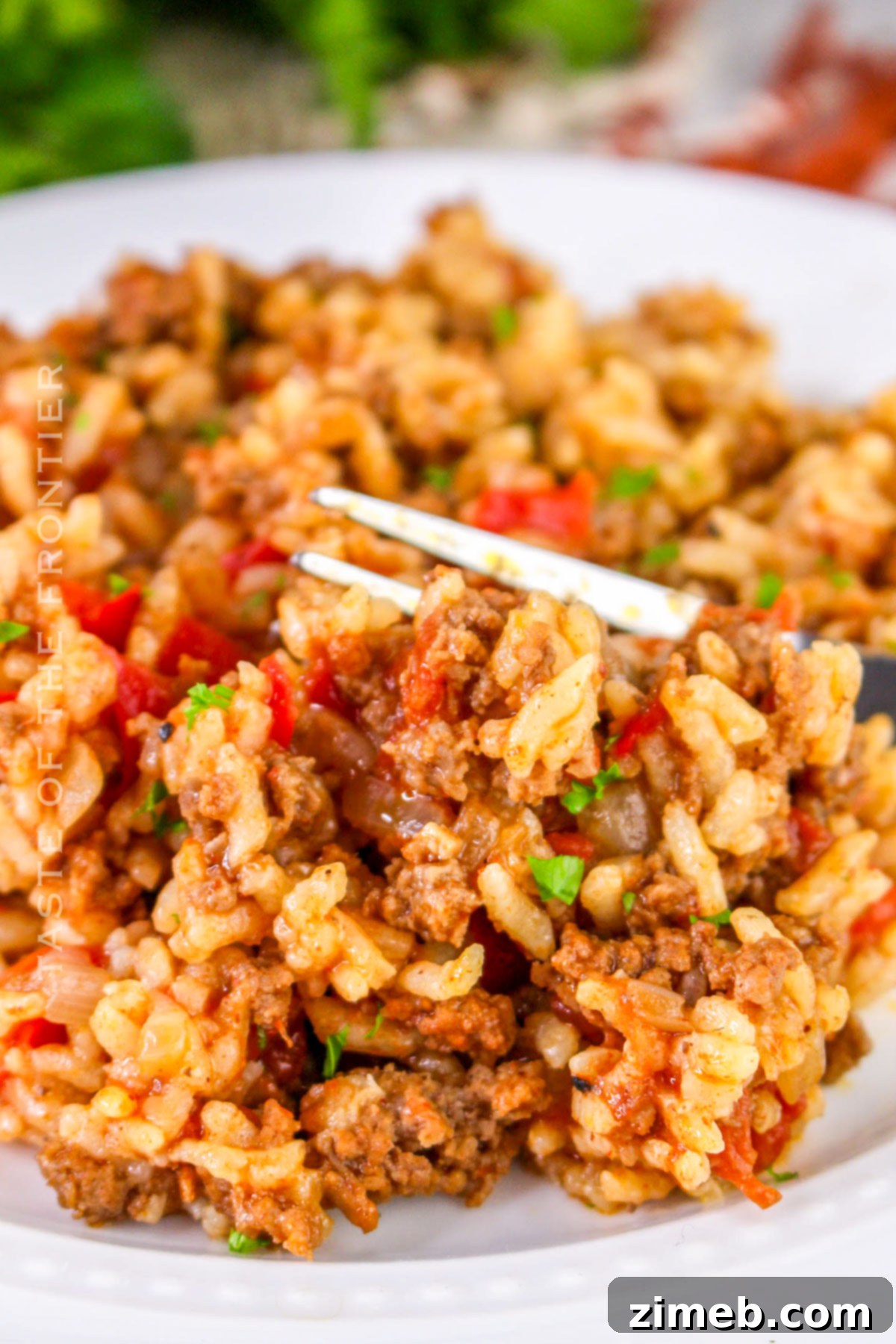 Simple Savory Instant Pot Spanish Rice 15 Pressure cooker side dish, Instant Pot Spanish Rice