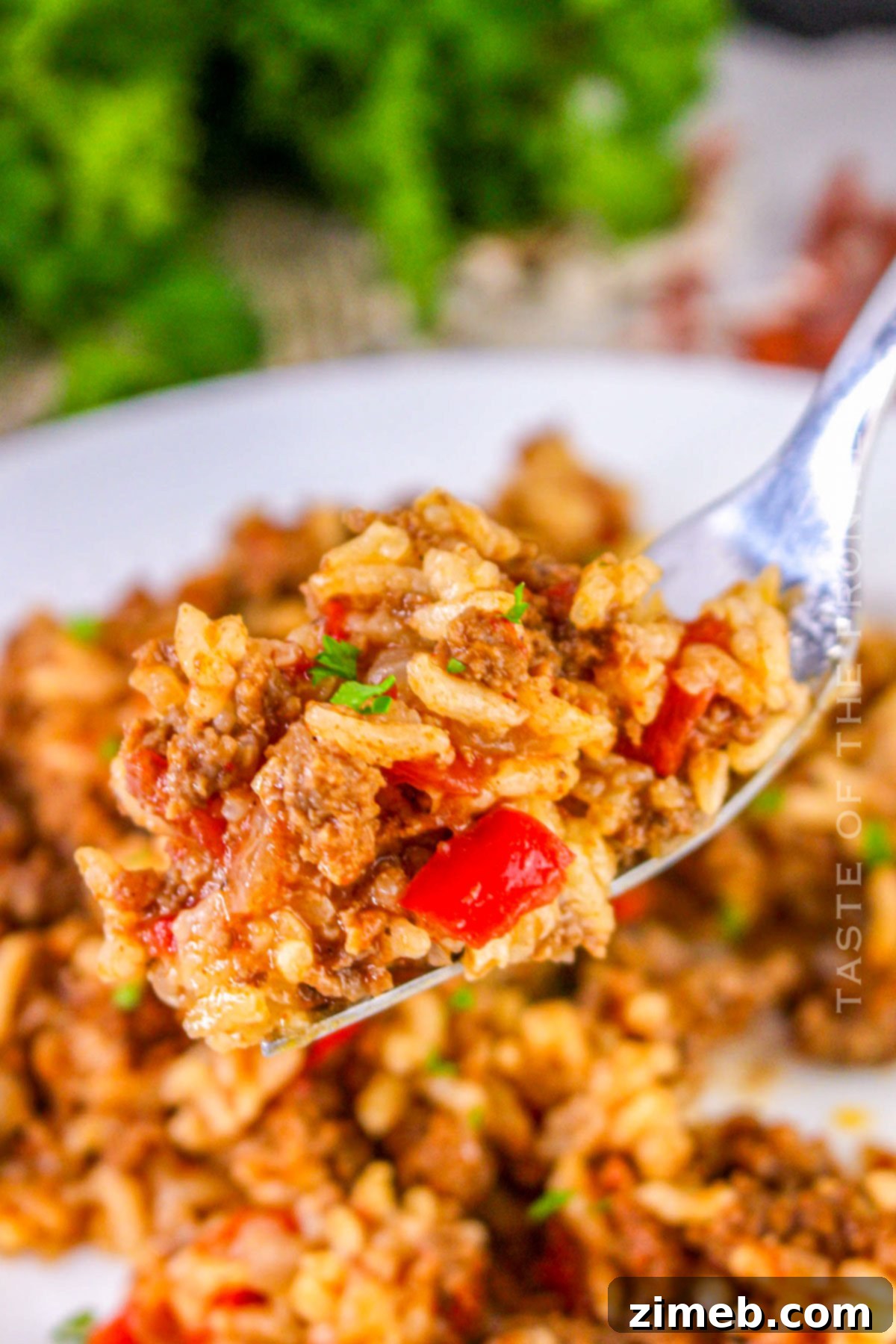 Simple Savory Instant Pot Spanish Rice 3 Close-up of fluffy Instant Pot Spanish Rice