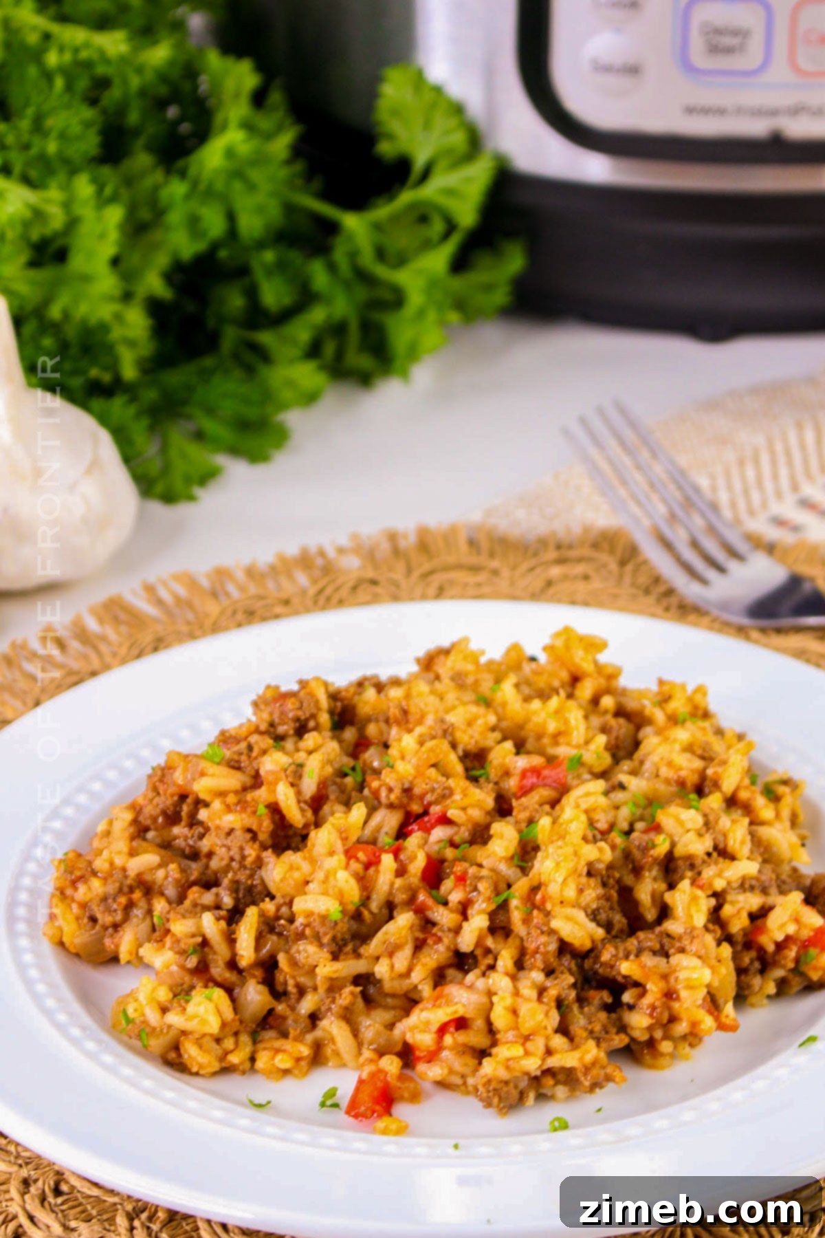 Simple Savory Instant Pot Spanish Rice 7 Spanish rice side dish