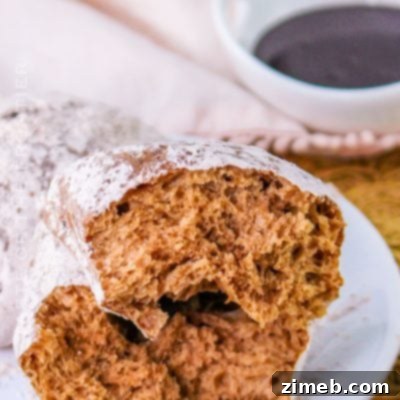 Chocolate Beignets, fluffy fried dough covered in powdered sugar and cocoa
