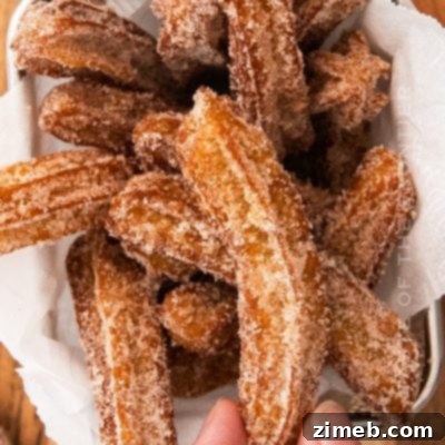 Crispy homemade churros dusted with cinnamon sugar, served with chocolate dipping sauce