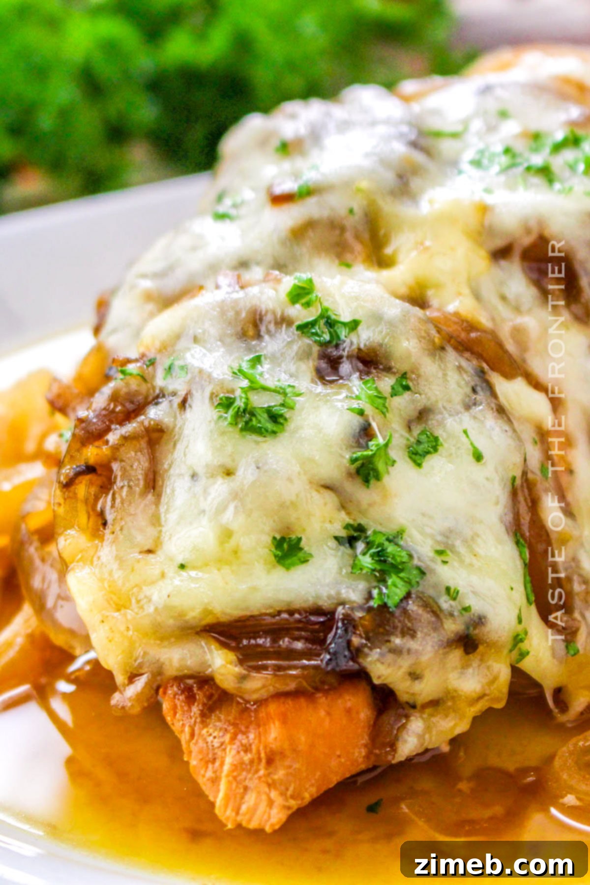 Savory French Onion Chicken 2 French Onion Chicken