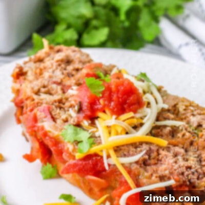 Fiesta Meatloaf 17 Mexican Meatloaf