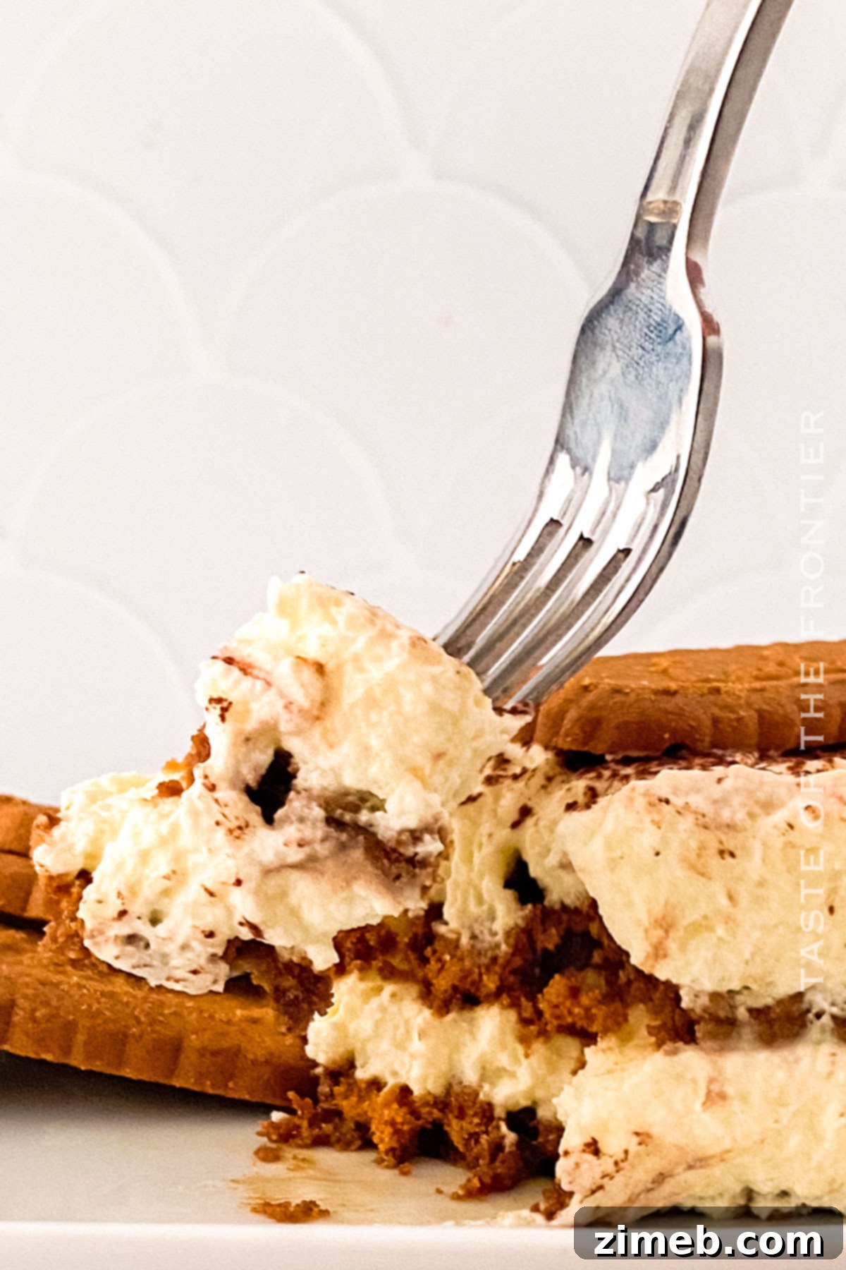 Spiced Biscoff Tiramisu 13 Delicious Biscoff Tiramisu recipe ready to be served