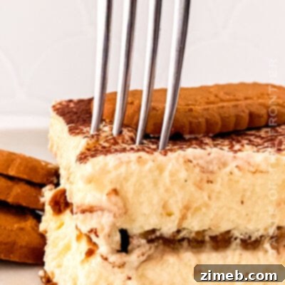 Spiced Biscoff Tiramisu 15 Biscoff Tiramisu recipe card image