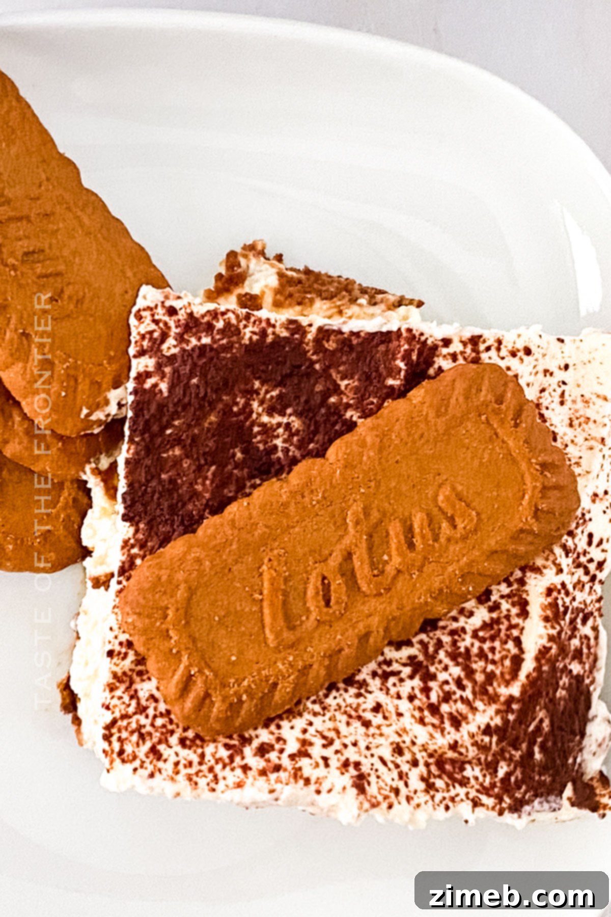 Spiced Biscoff Tiramisu 3 Close-up slice of creamy Biscoff Tiramisu dessert on a plate