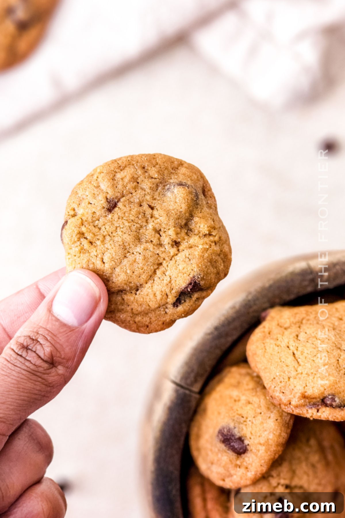 Copycat Famous Amos Chocolate Chip Cookies 15 copycat tiny chocolate chip cookies, Famous Amos style