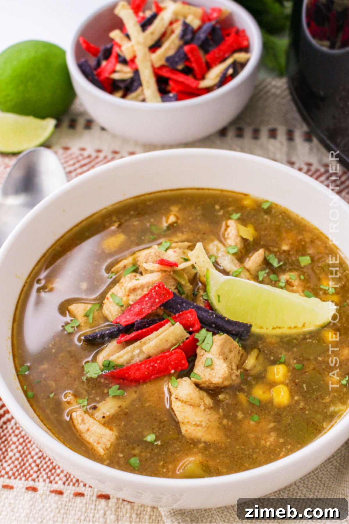 Southwestern Green Chile Chicken Soup 14 Green Chile Chicken Soup recipe