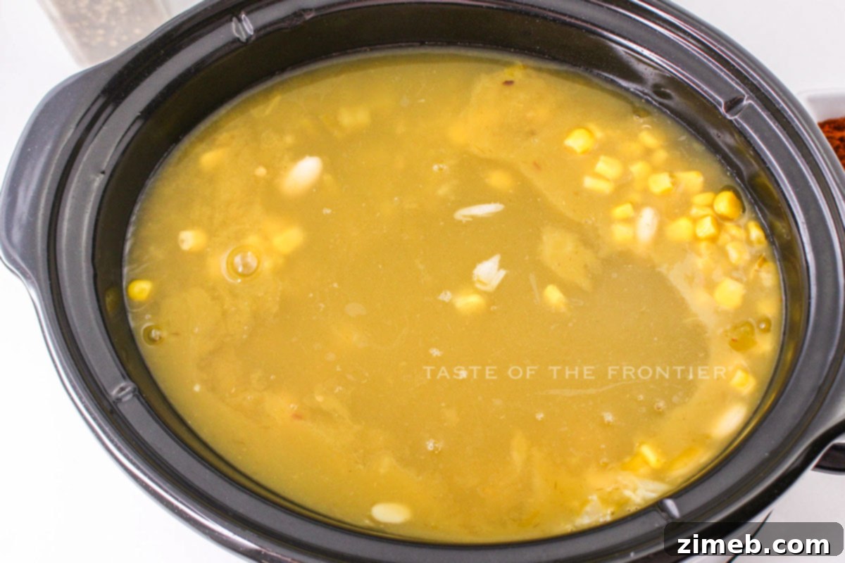 Southwestern Green Chile Chicken Soup 6 slow cooker soup