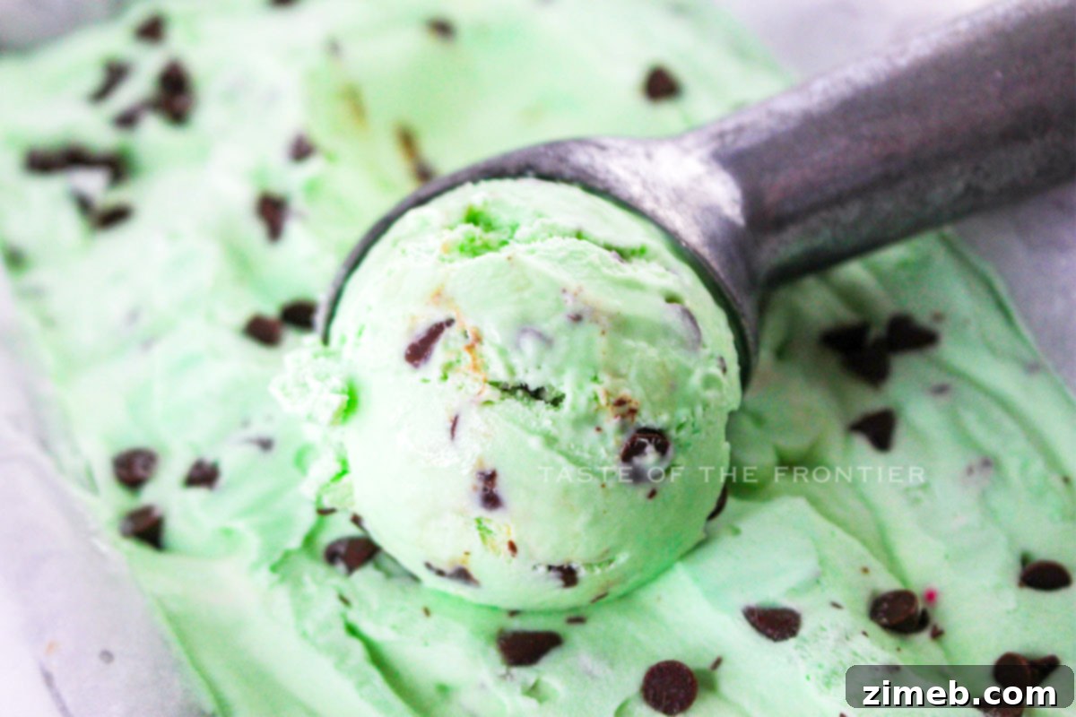 Emerald Mint Dream 14 mint ice cream scoop