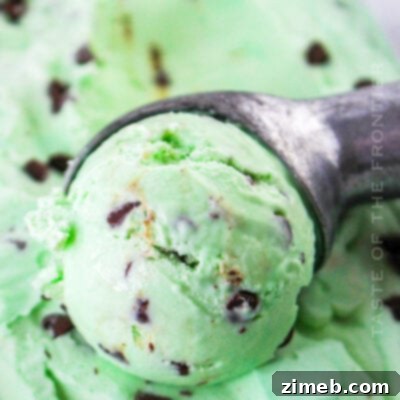 Grasshopper Ice Cream