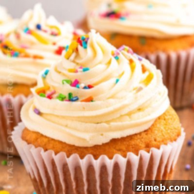 Bite-Sized Delights 11 Colorful Confetti Sprinkle Cupcakes