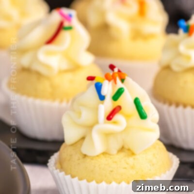 Bite-Sized Delights 16 Mini Cupcakes