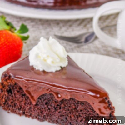 Perfectly baked 9" round chocolate cake