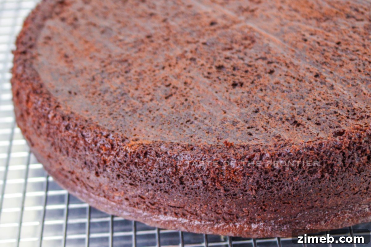 Finished Chocolate Fudge Cake with glossy ganache