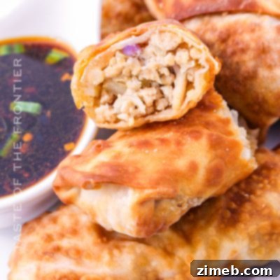 Golden Jalapeño Wonton Bursts 11 Crispy Chicken Eggrolls