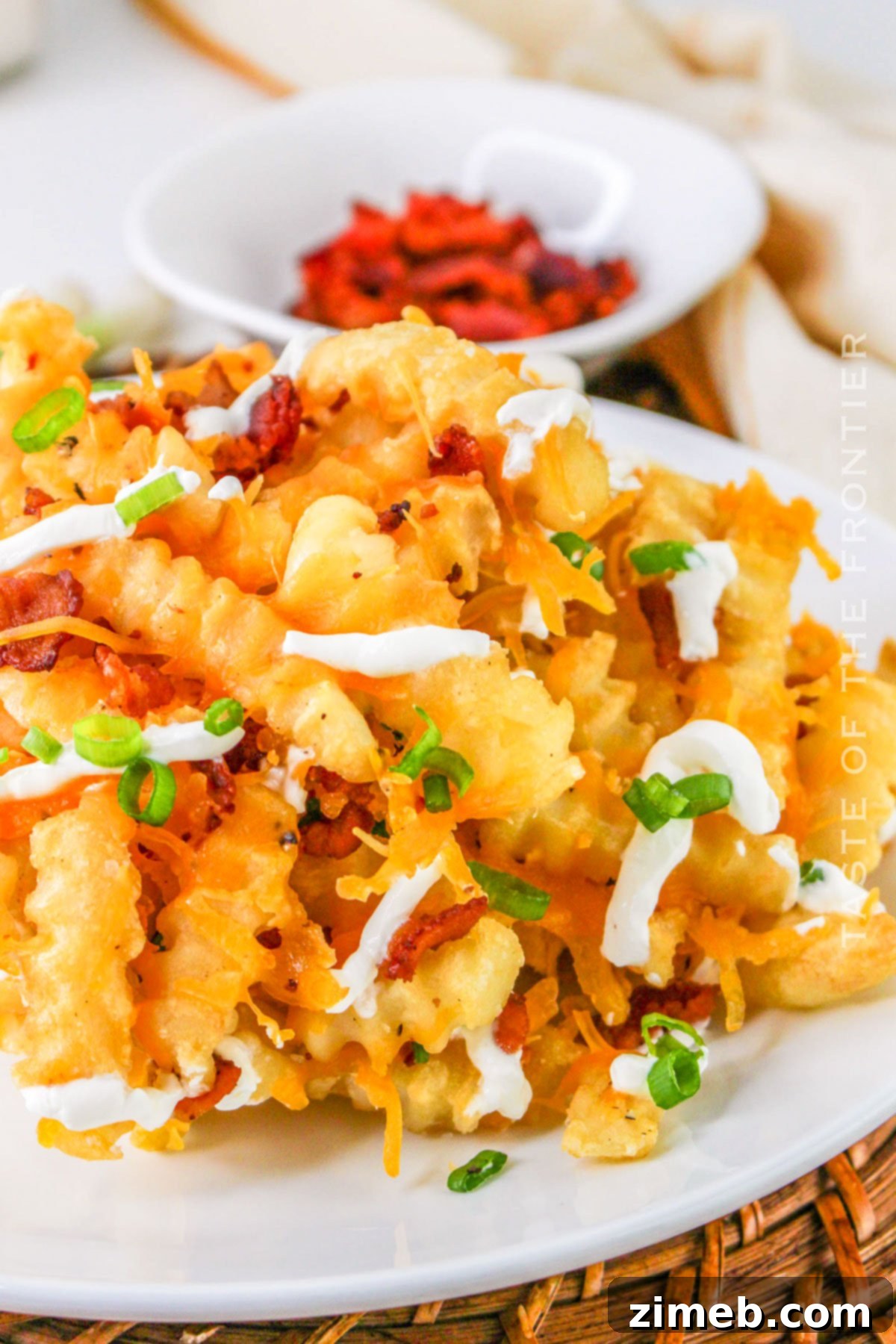 Epic Loaded Fries 2 Loaded Fries