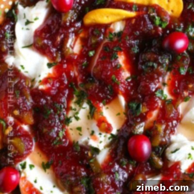 Epic Loaded Fries 11 Cranberry Jalapeno Dip