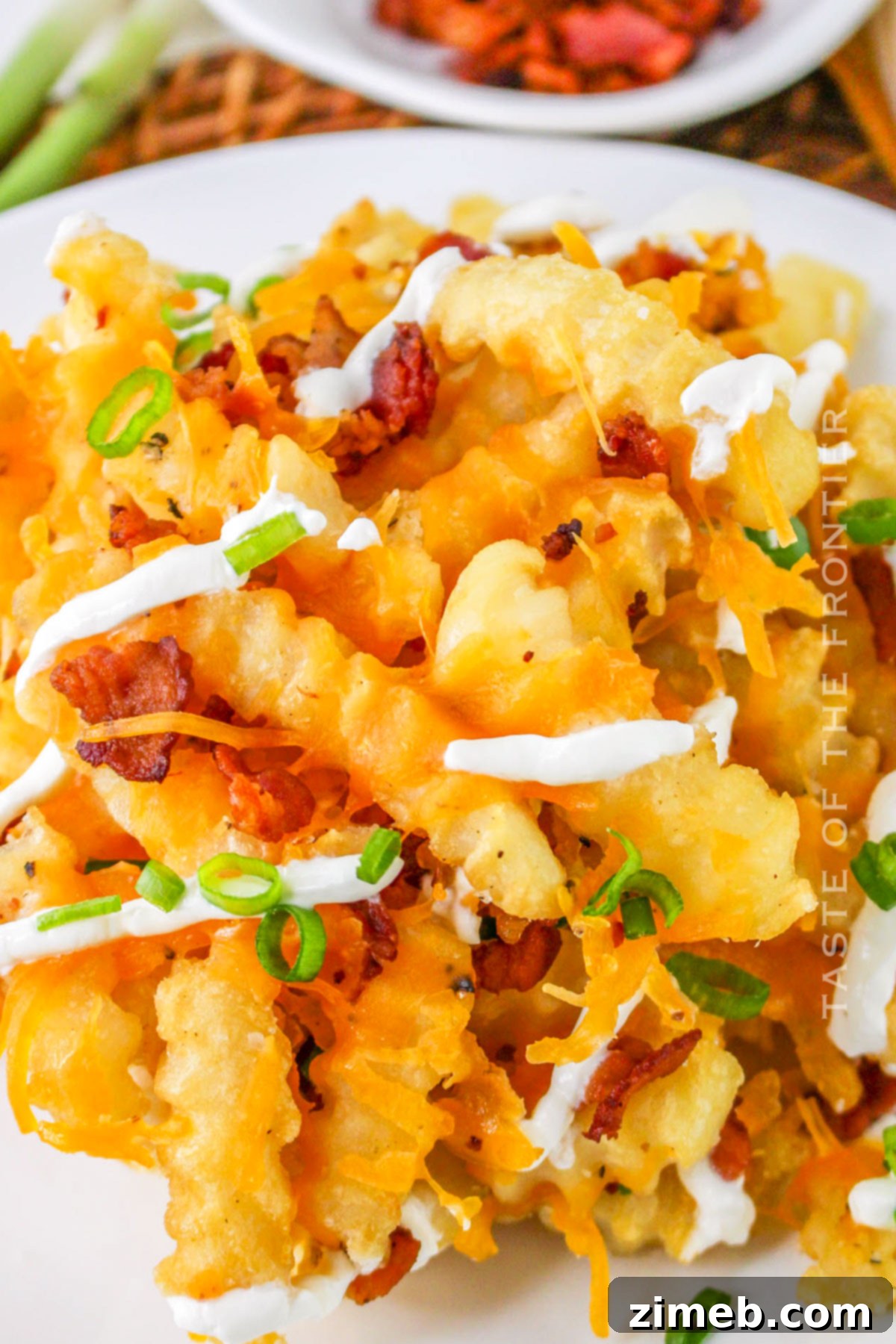 Epic Loaded Fries 14 Crispy Loaded Fries