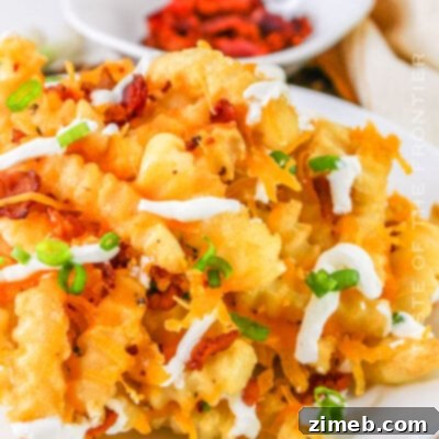 Epic Loaded Fries 15 Loaded Fries
