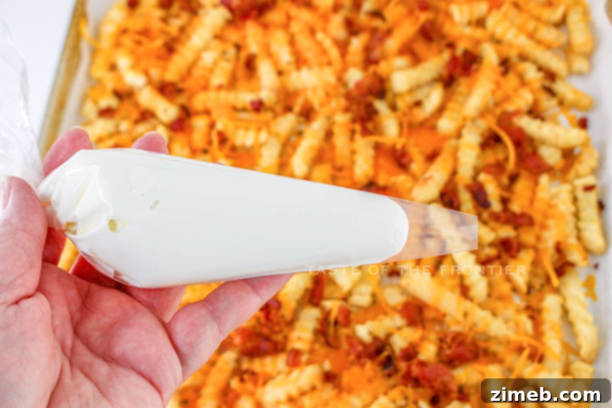 Epic Loaded Fries 7 adding sour cream