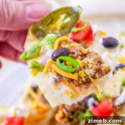 Epic Loaded Fries 9 Trash Can Nachos