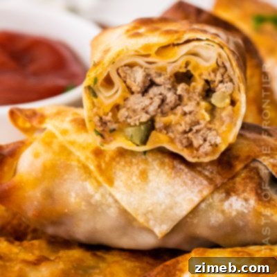Crispy Air-Fried Spring Rolls 11 quick air fried appetizers