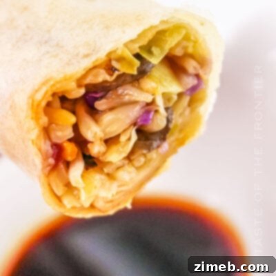 Air Fryer Spring Roll recipe