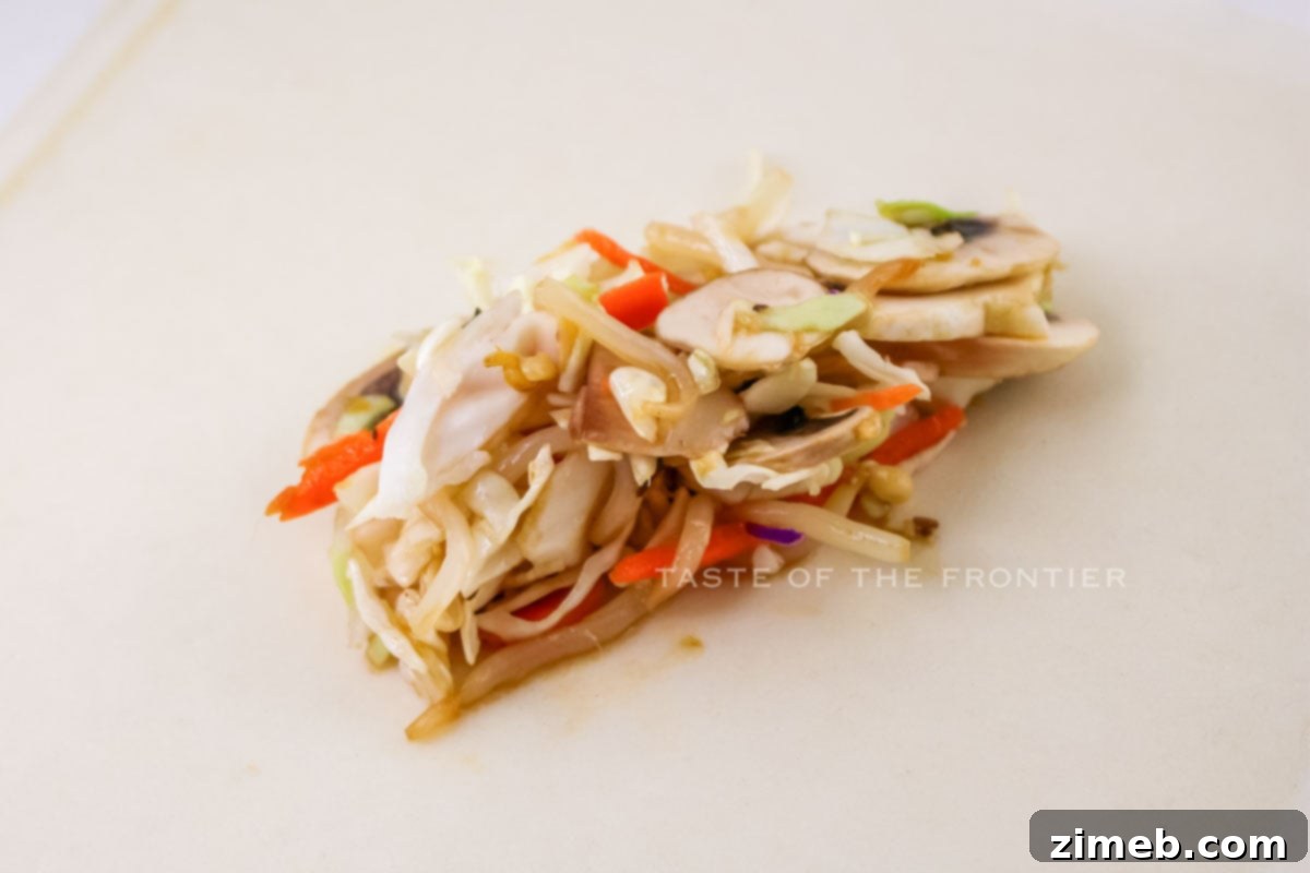 Crispy Air-Fried Spring Rolls 6 wrapping the filling