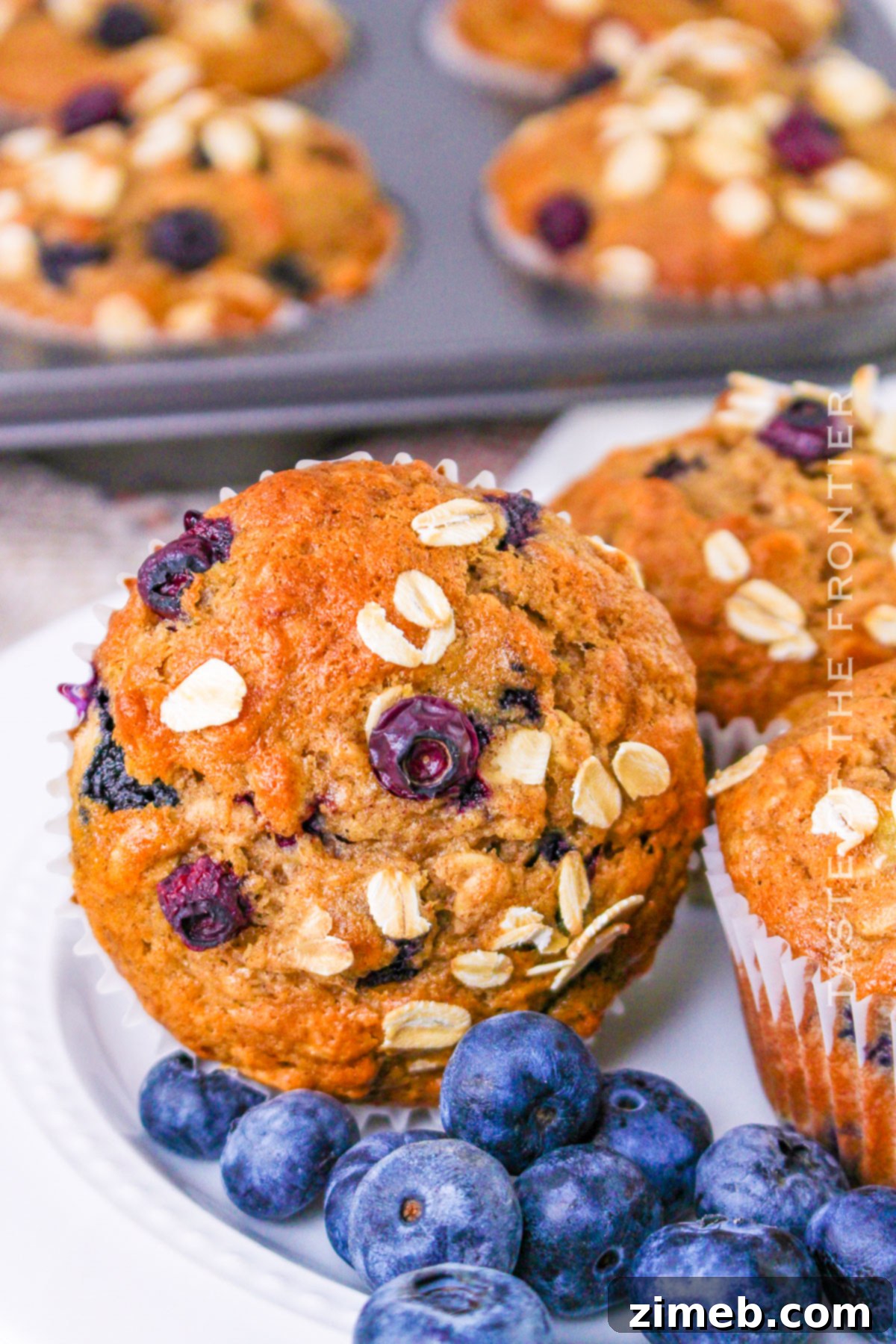 Banana Blueberry Oat Muffins 14 morning breakfast muffins with oats