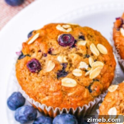 Banana Blueberry Oatmeal Muffins