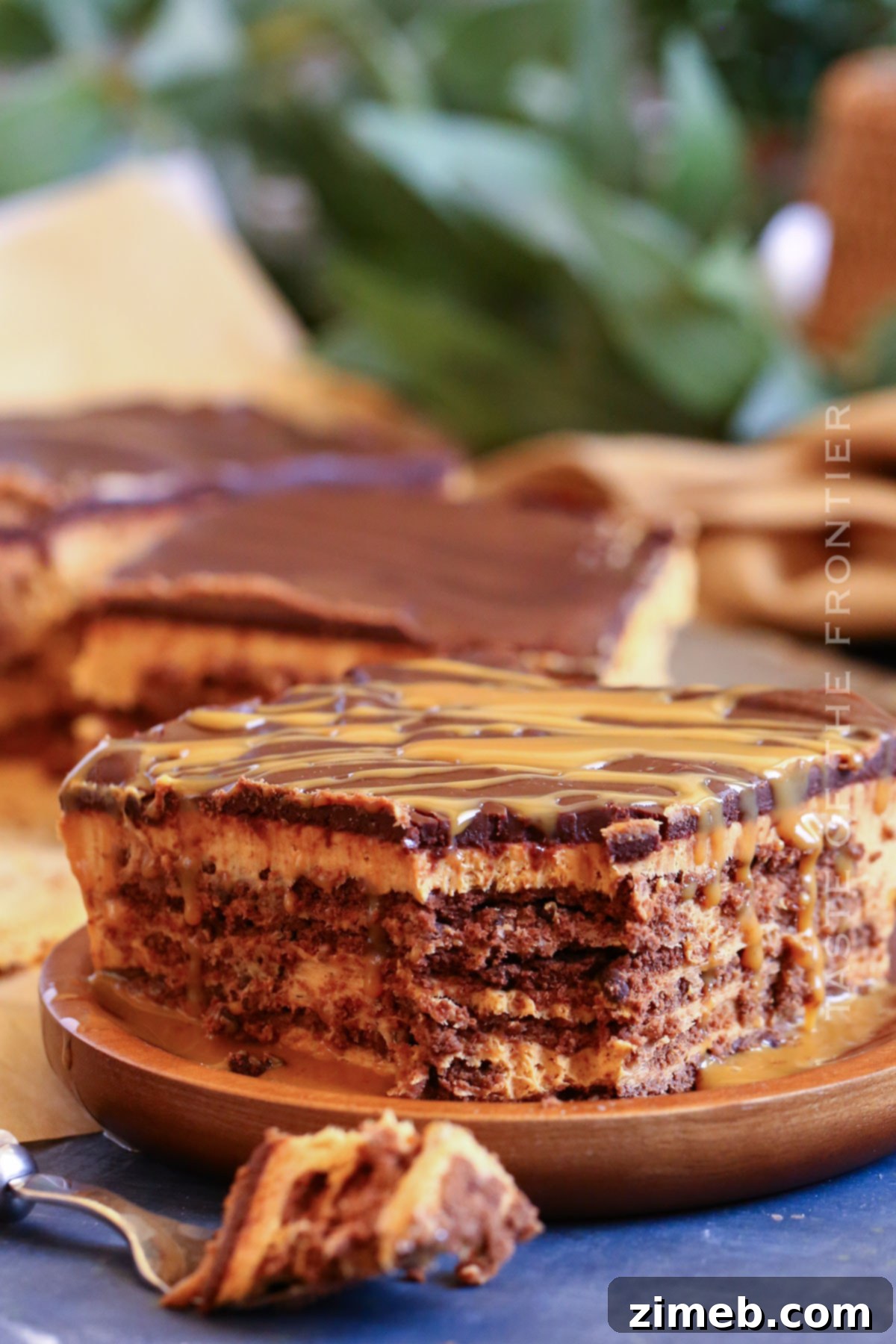 Close-up of a slice of no-bake Chocotorta showing its beautiful layers.