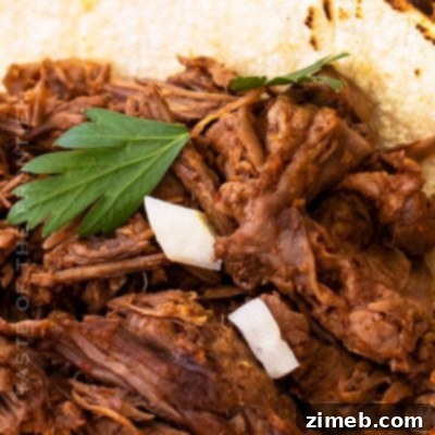 Beef Barbacoa Tacos