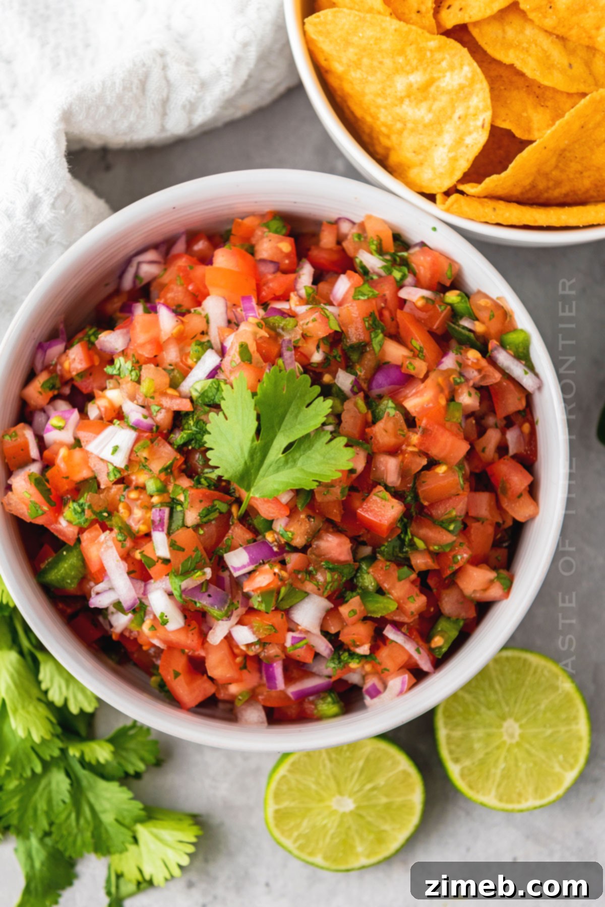salsa appetizer