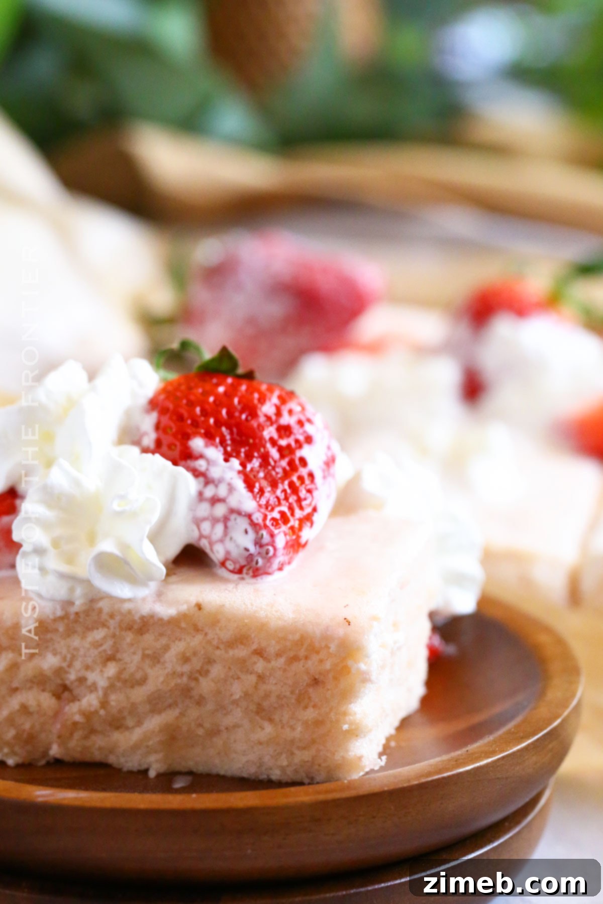 Whisperlight Delight 9 low-carb Cloud Cake